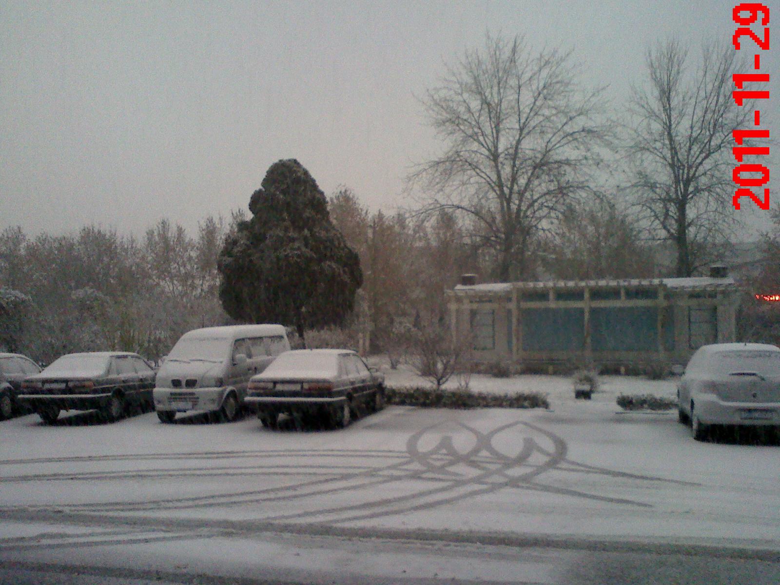 大雪啊 