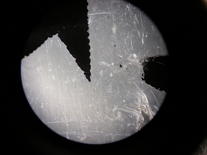 DSCN3123.jpg