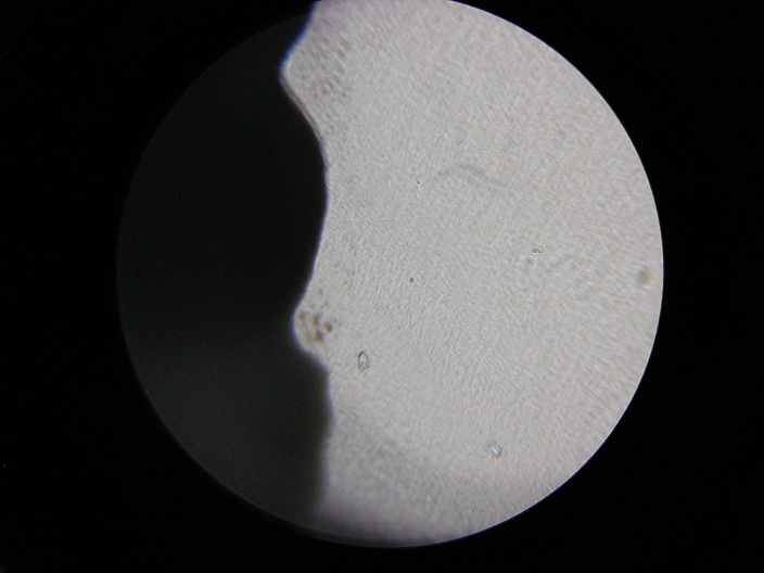DSCN3134.jpg