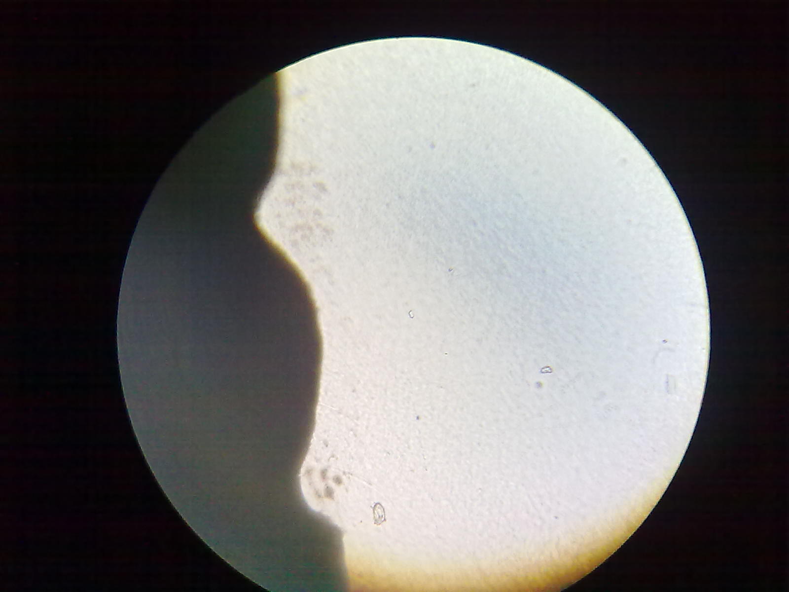 20111201273.jpg