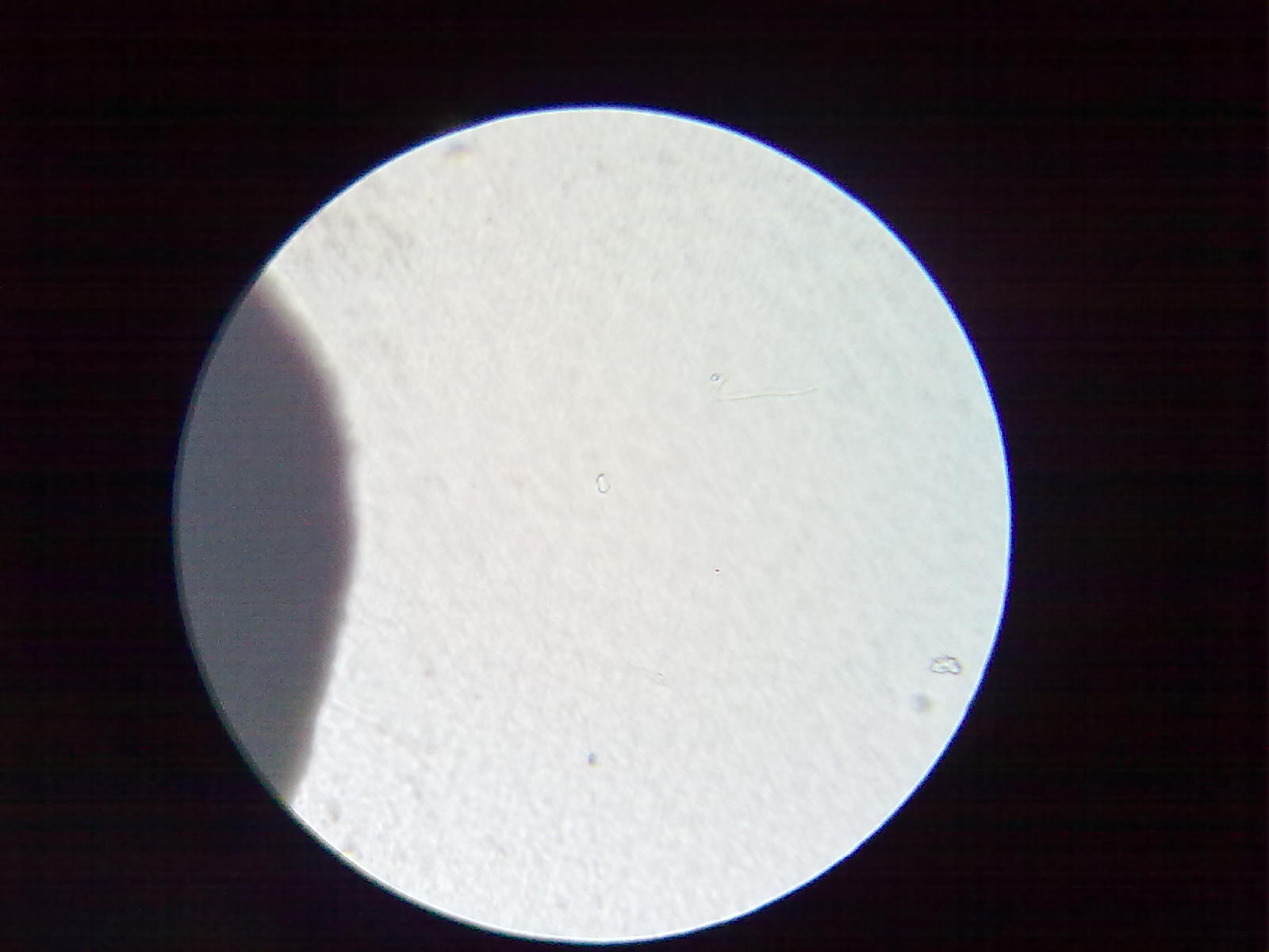 20111201274.jpg