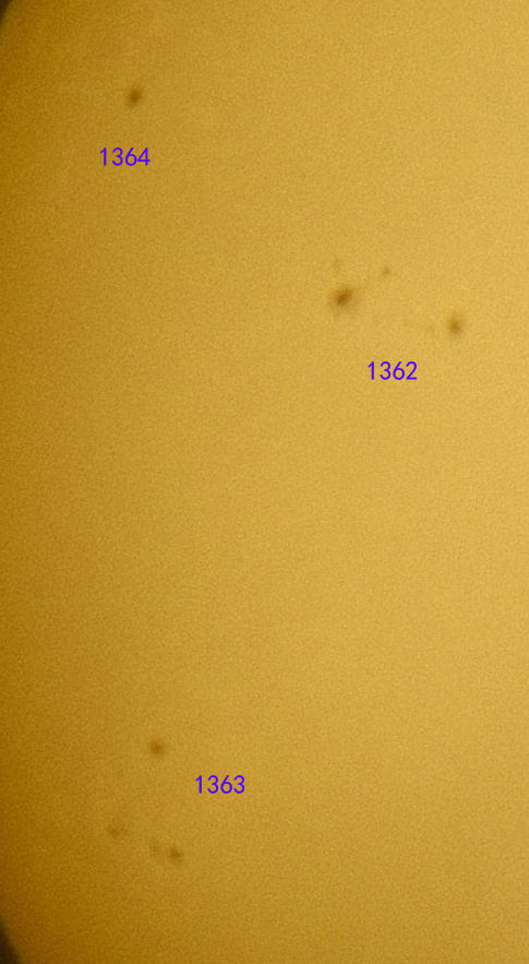 1362 63 64.jpg