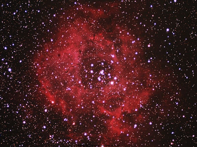 NGC2244.jpg