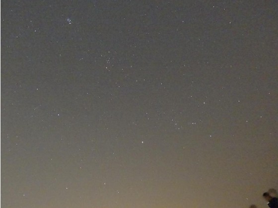 星野.jpg