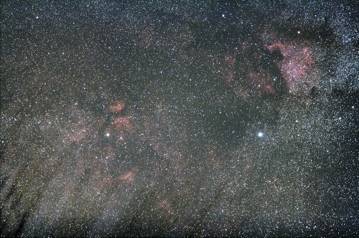 树梢上的梦幻星云.jpg