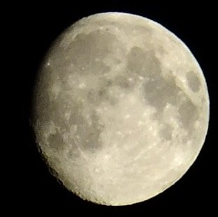 DSCF1431.JPG