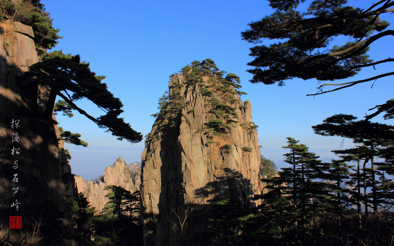 IMG_7052探海松和石笋峰.jpg