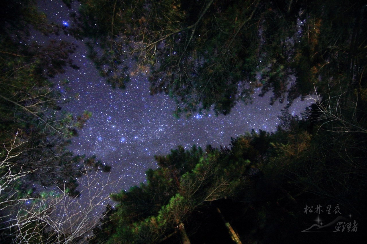 IMG_5896松林星夜.jpg