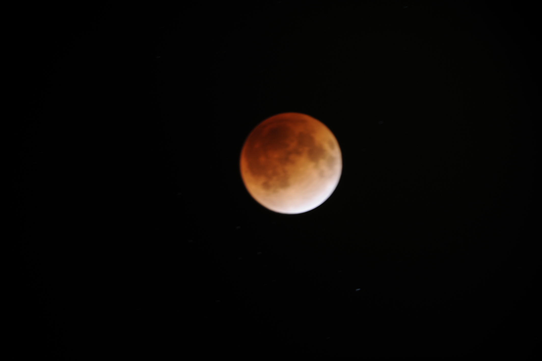 DSC_3104.JPG