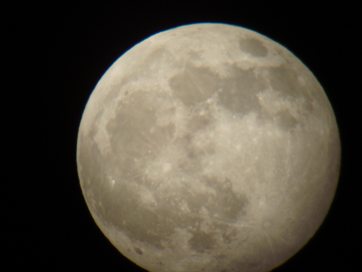 DSC09580.JPG