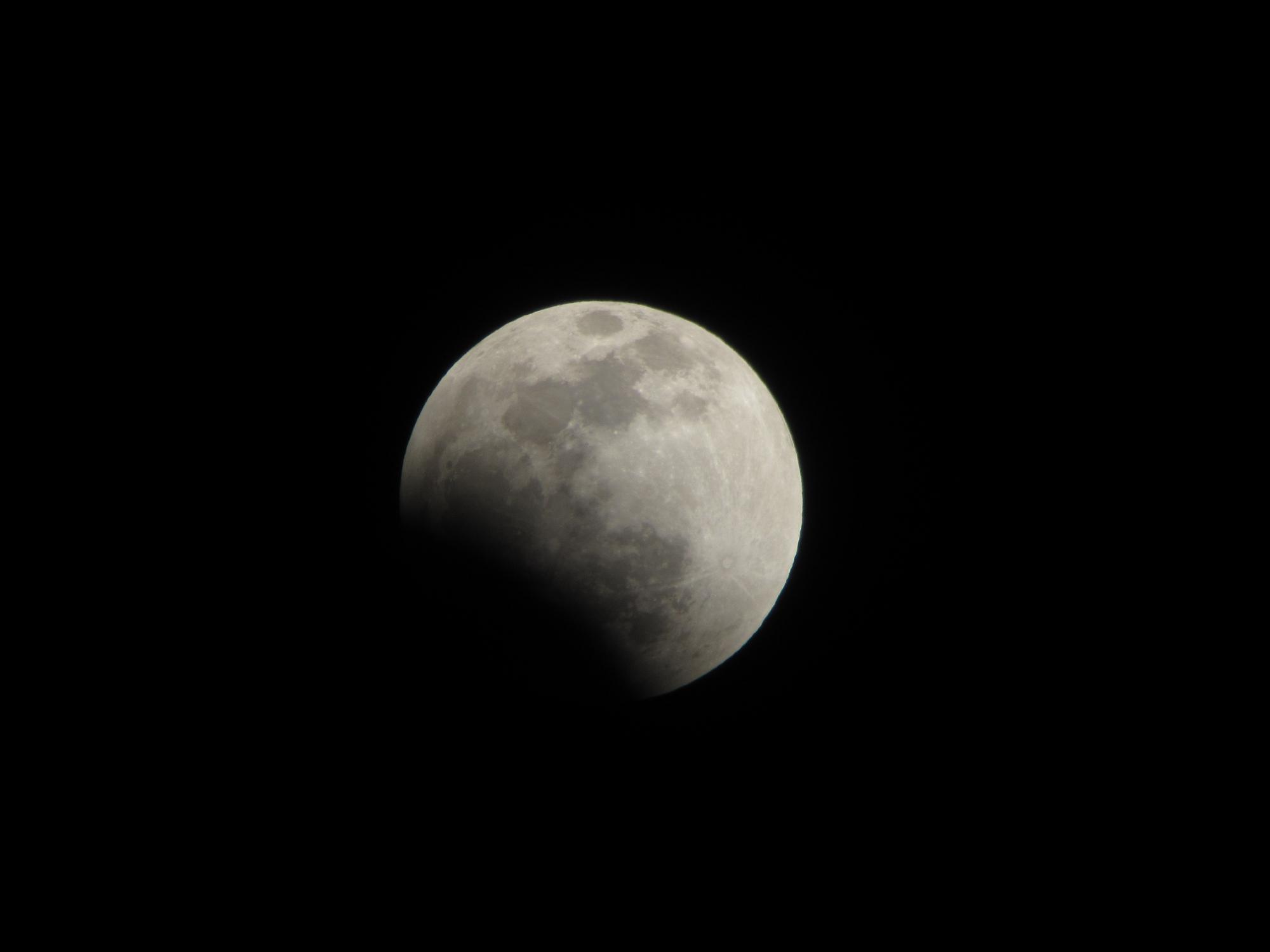 照片 013.jpg