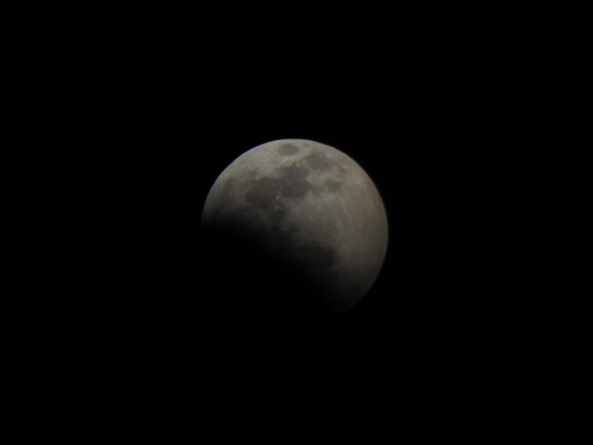 照片 019.jpg