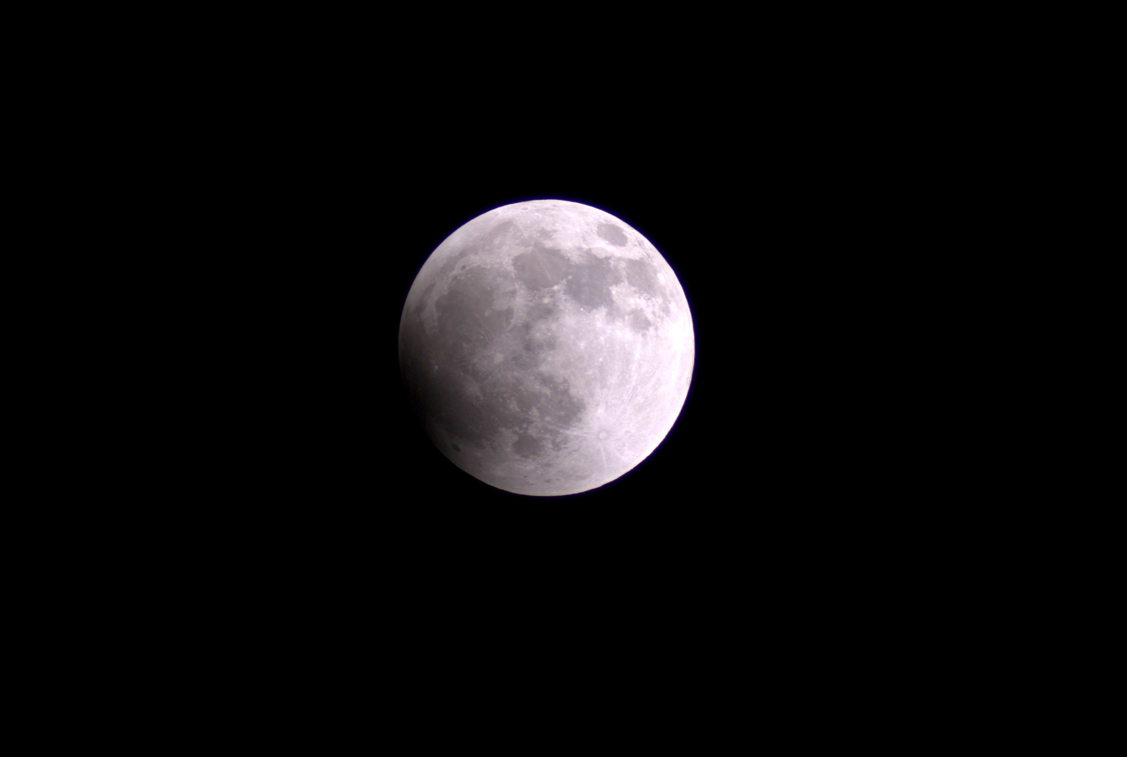 DSC08534.jpg