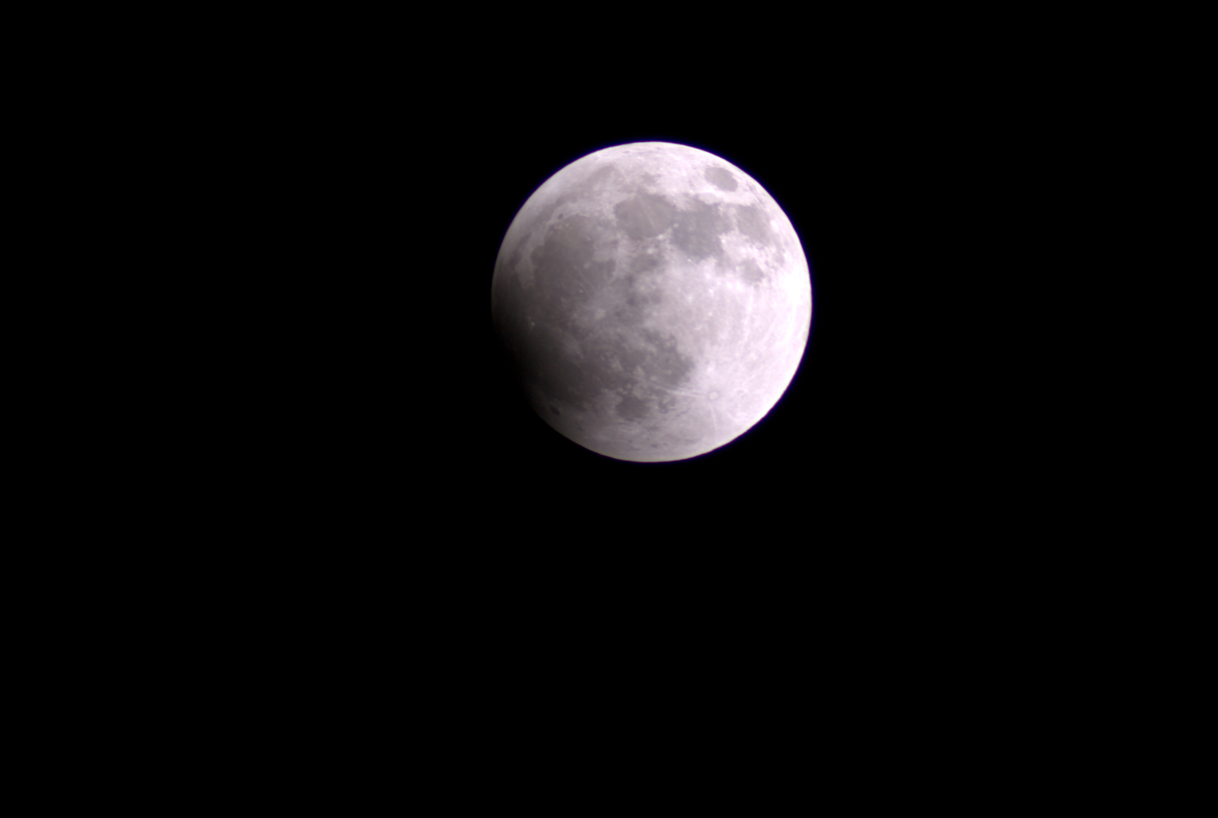 DSC08535.jpg