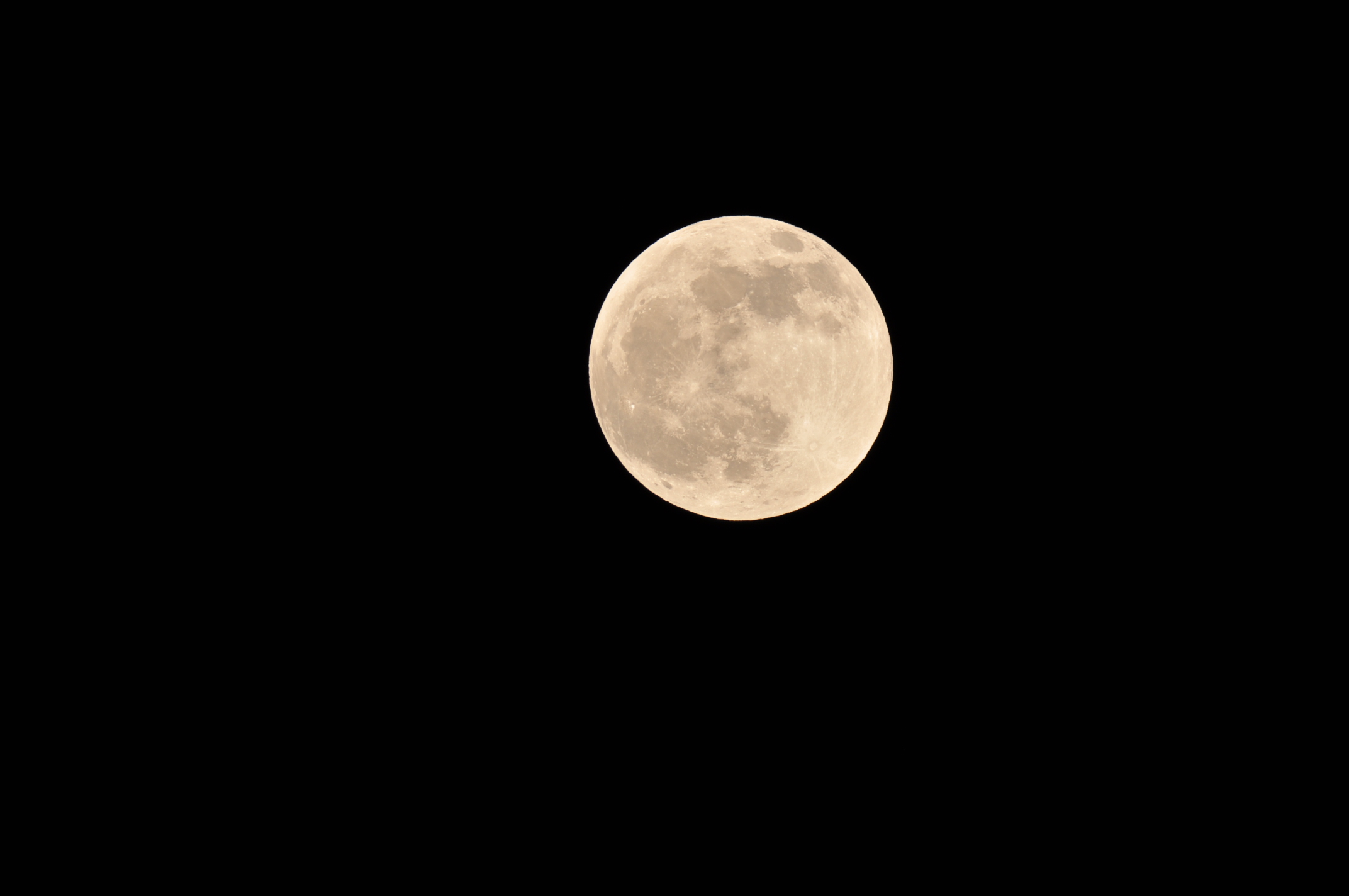 DSC_1204.JPG