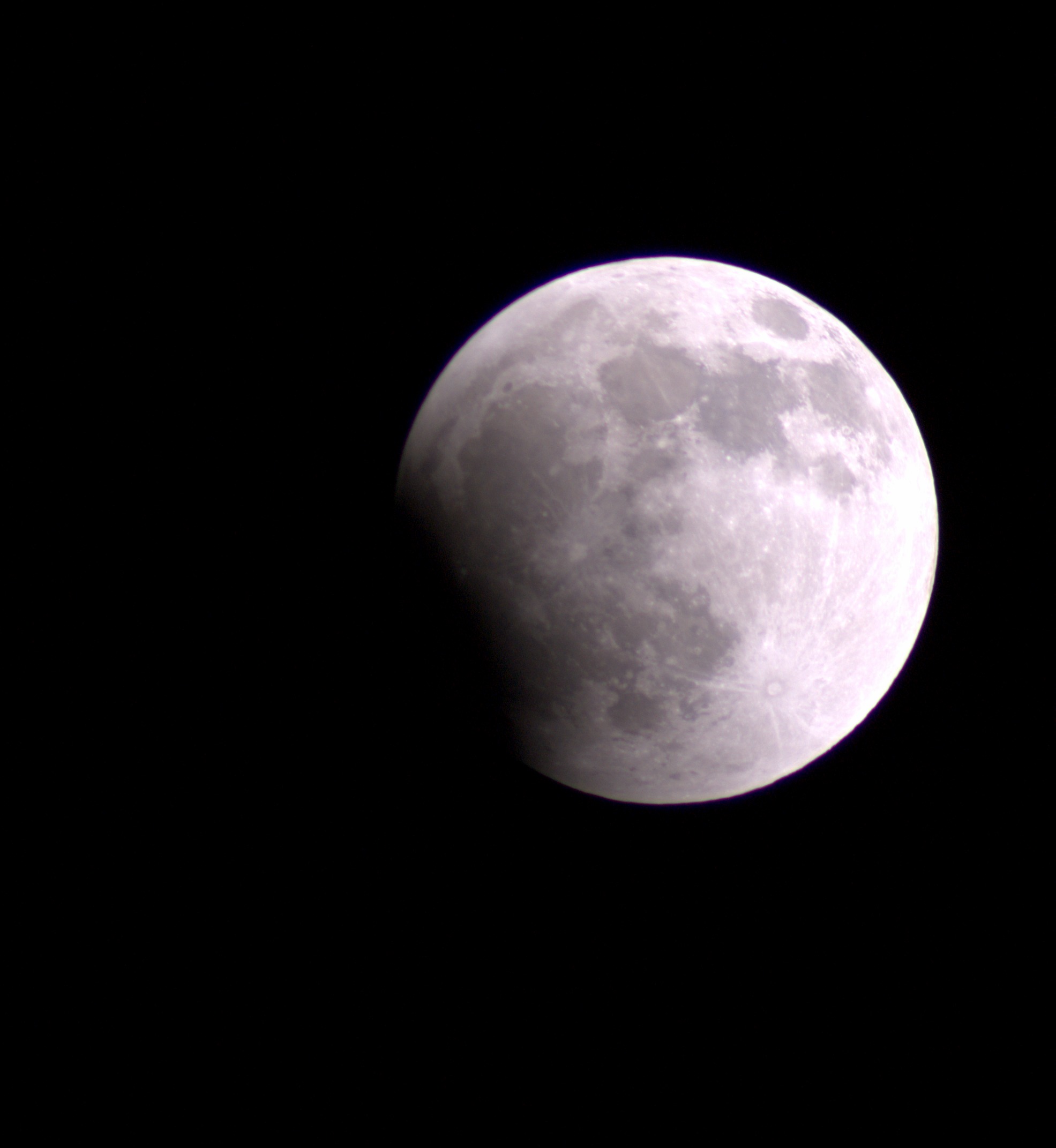 DSC08536.jpg