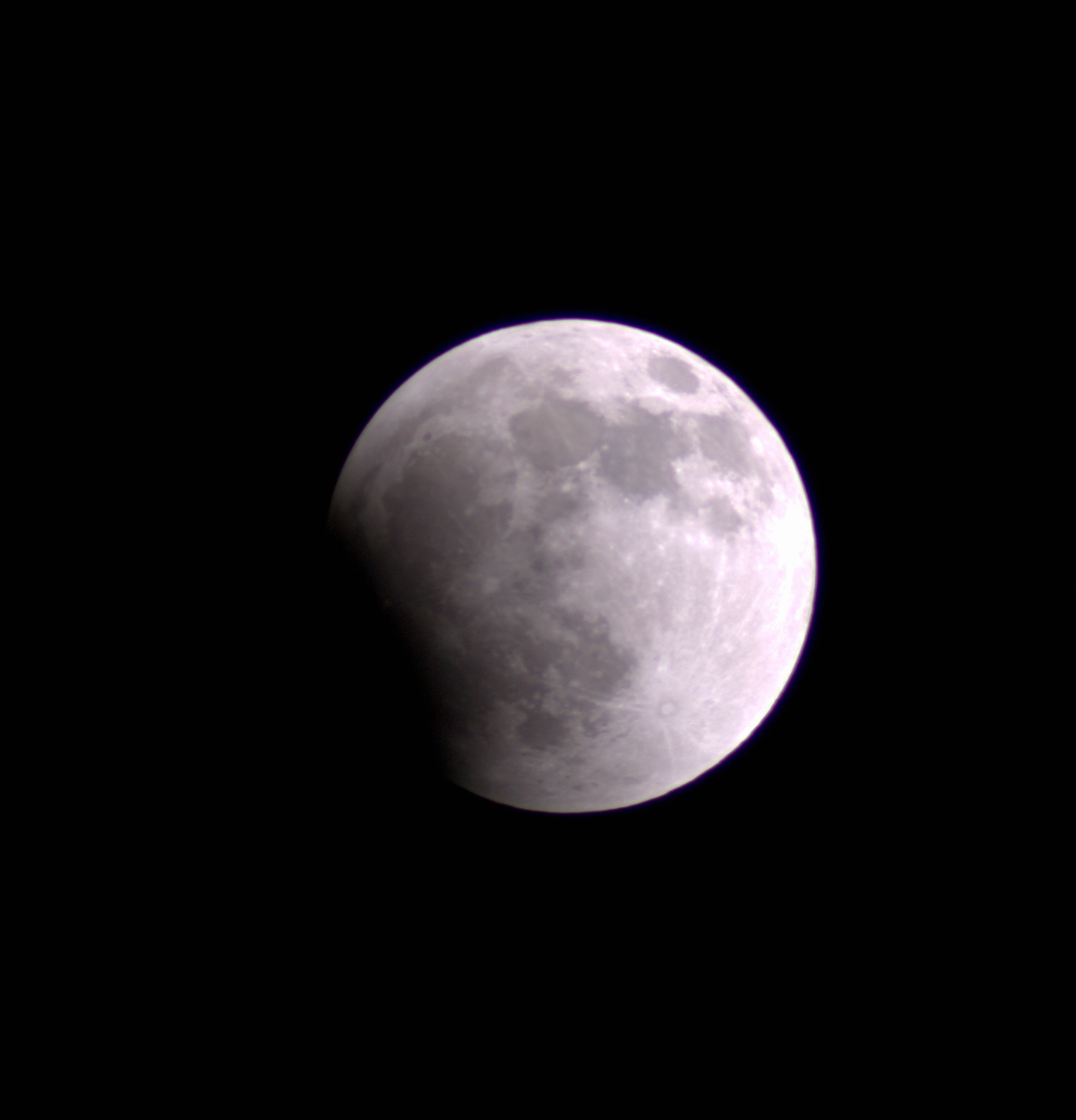 DSC08537.jpg