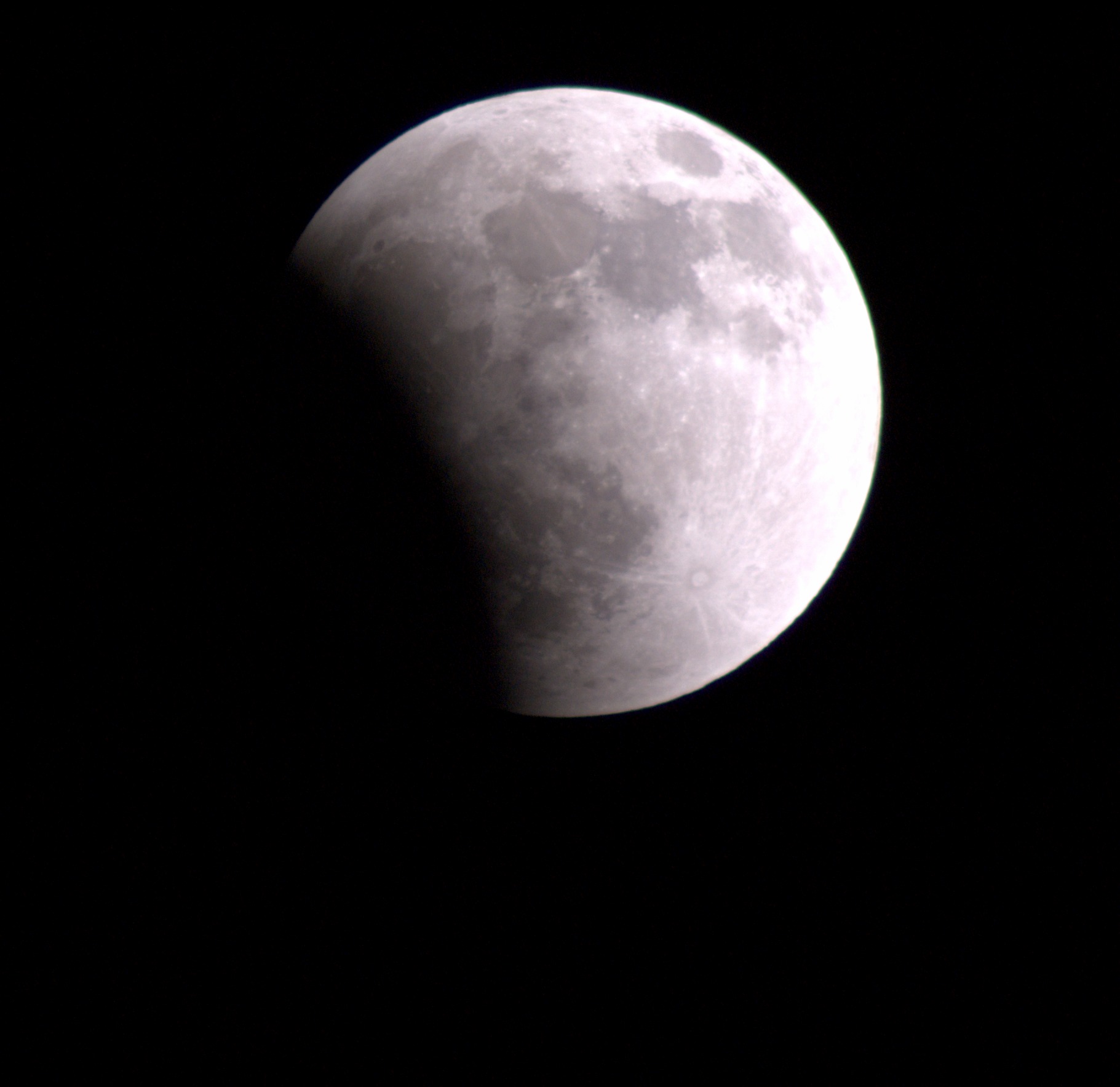 DSC08545.jpg