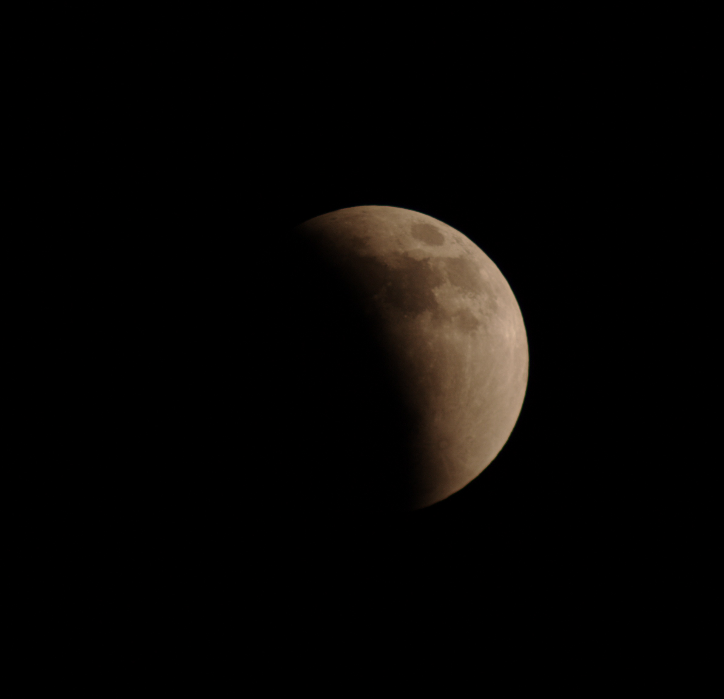 DSC08550.jpg