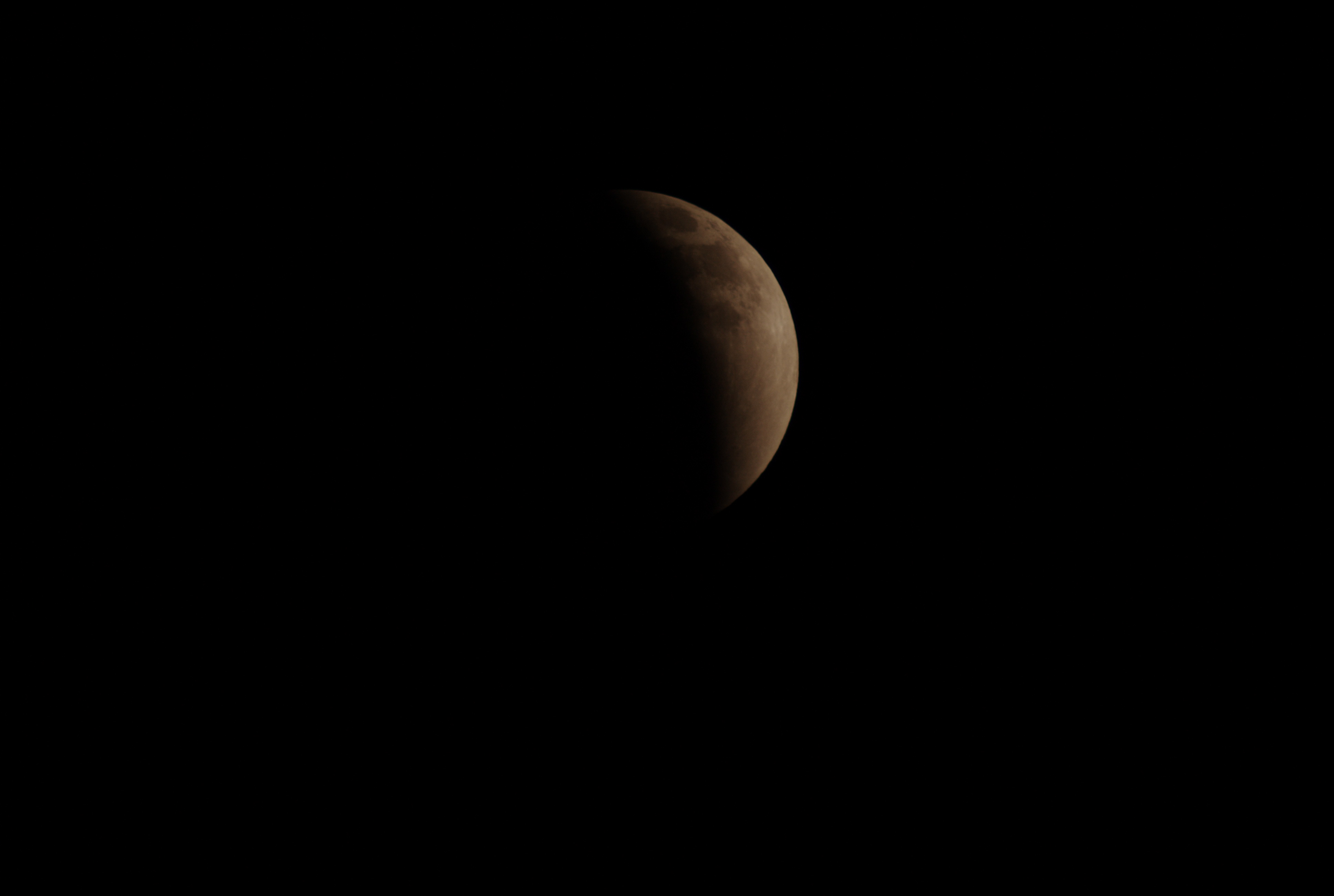 DSC08553.jpg