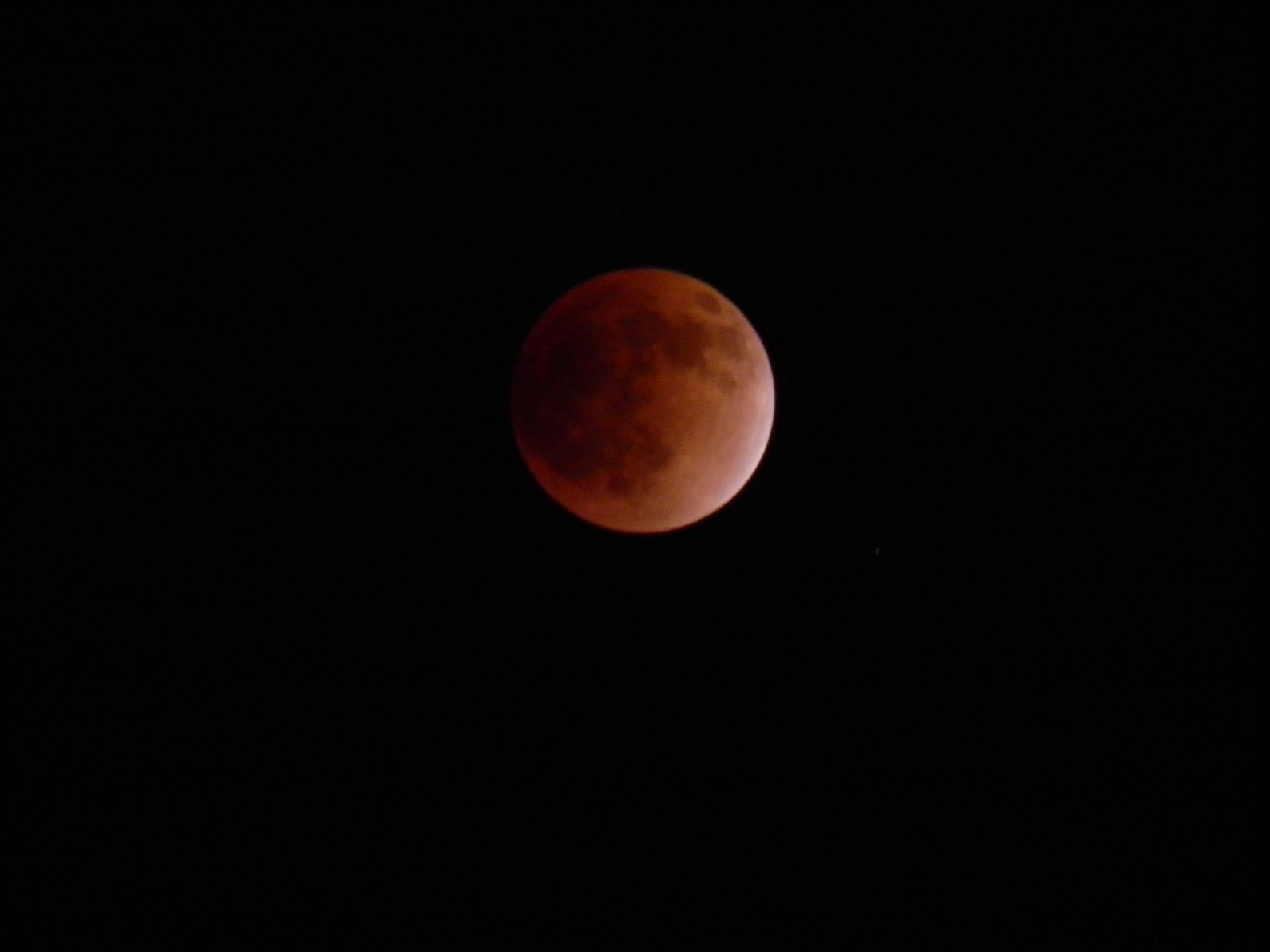 pc100165.jpg