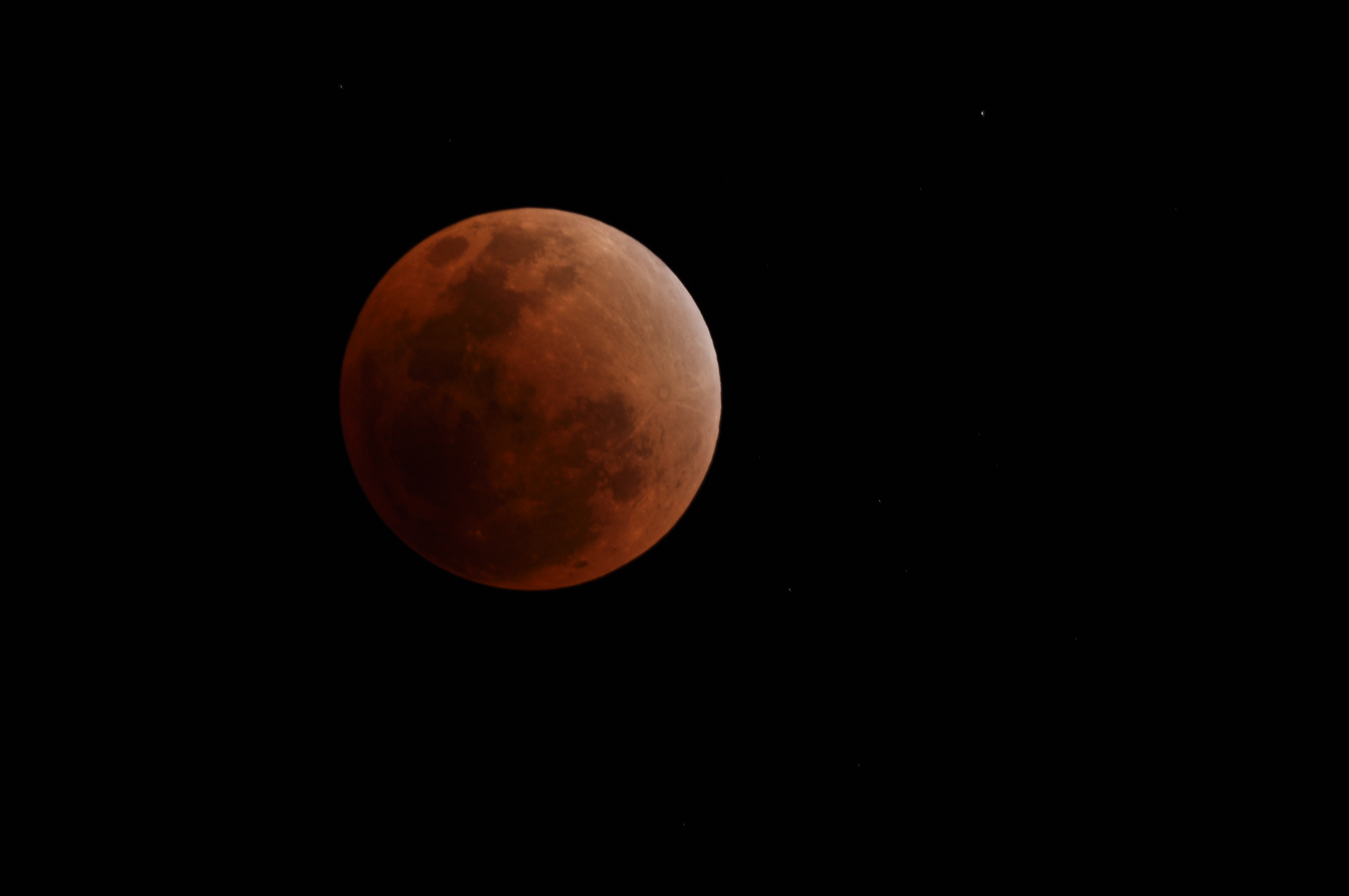 DSC_1286.JPG