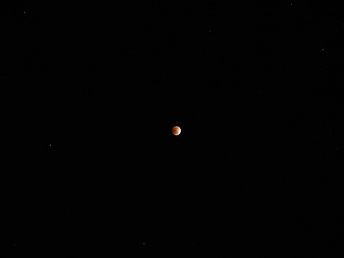 DSC02212_副本.jpg