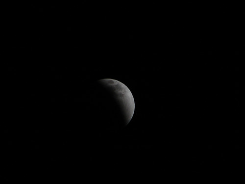DSC02174_副本.jpg