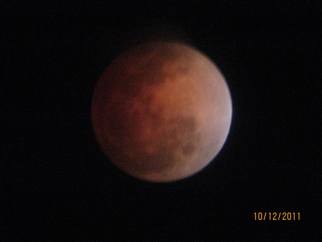 IMG_0074.jpg