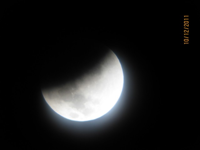 IMG_0037.jpg