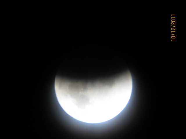 IMG_0035.jpg