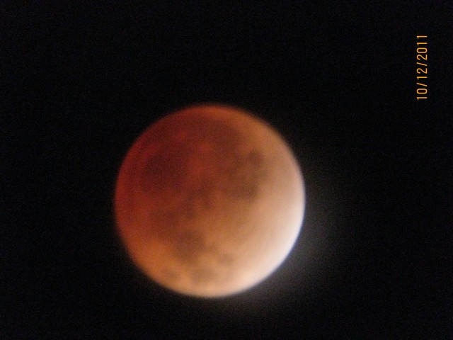 IMG_0060.jpg