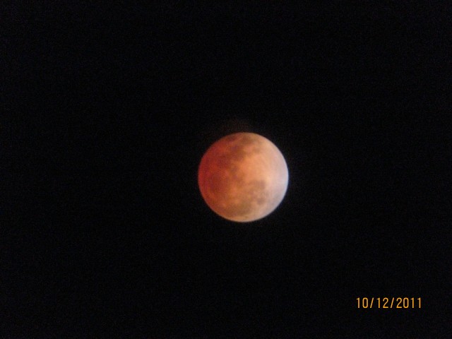 IMG_0072.jpg