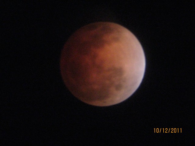 IMG_0073.jpg