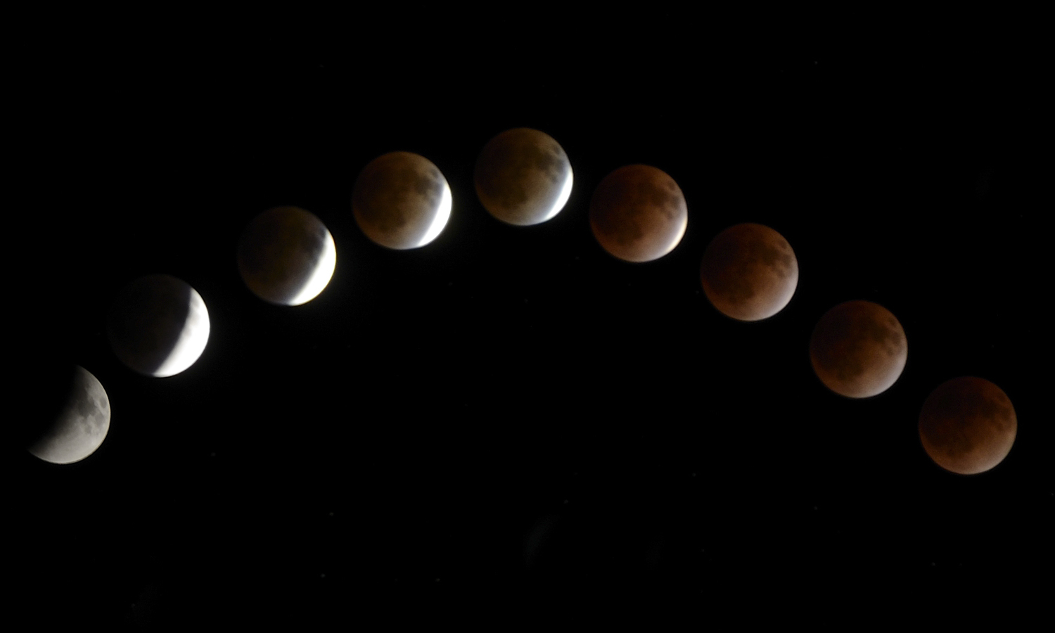 DSC_57580.jpg
