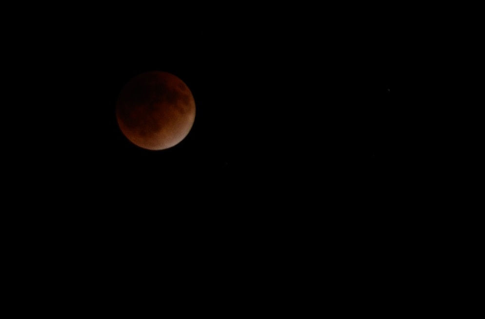DSC_5773.jpg