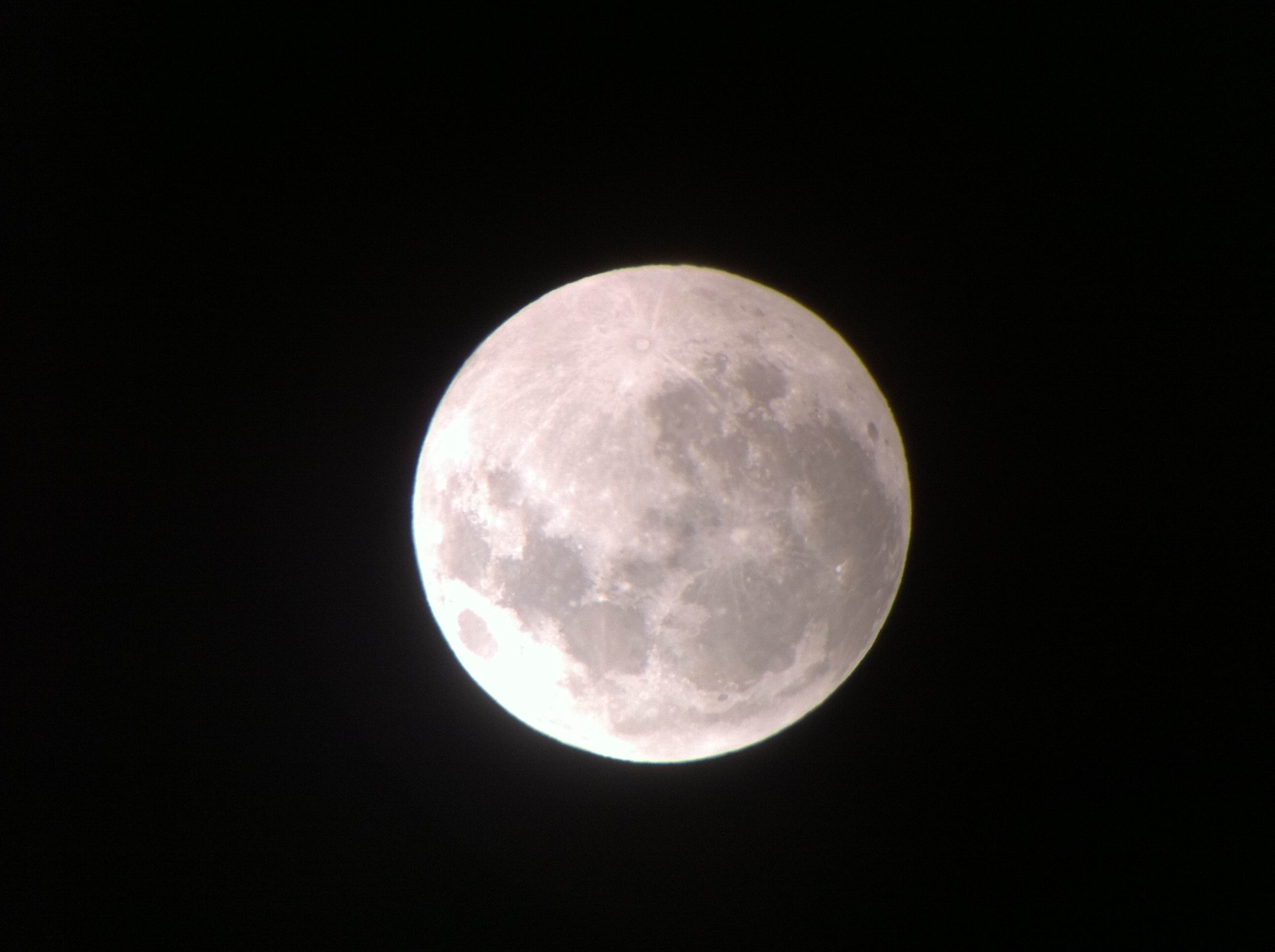 Picture 4981.jpg