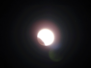 DSC07451.gif