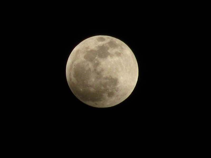 IMG_8949.JPG