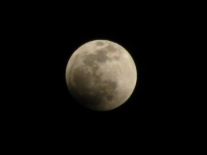 IMG_8952.JPG