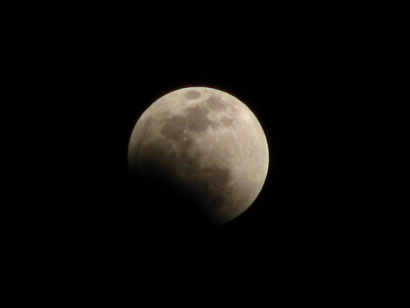 IMG_8962.JPG