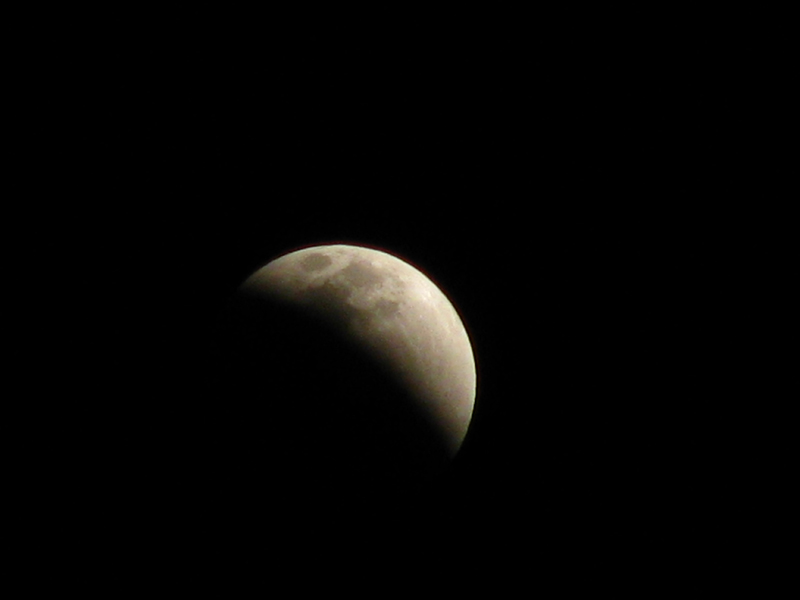 IMG_8989.JPG