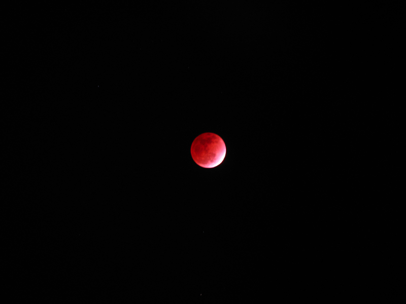 IMG_9052.JPG