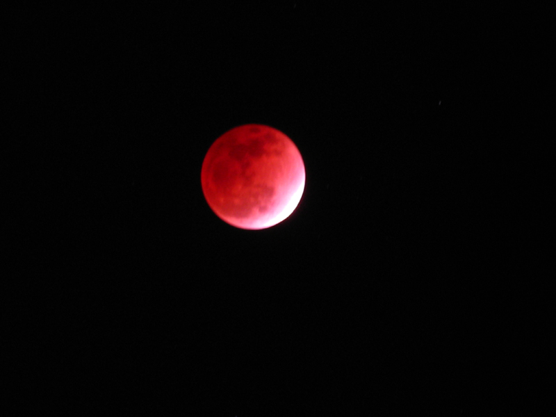 IMG_9053.JPG