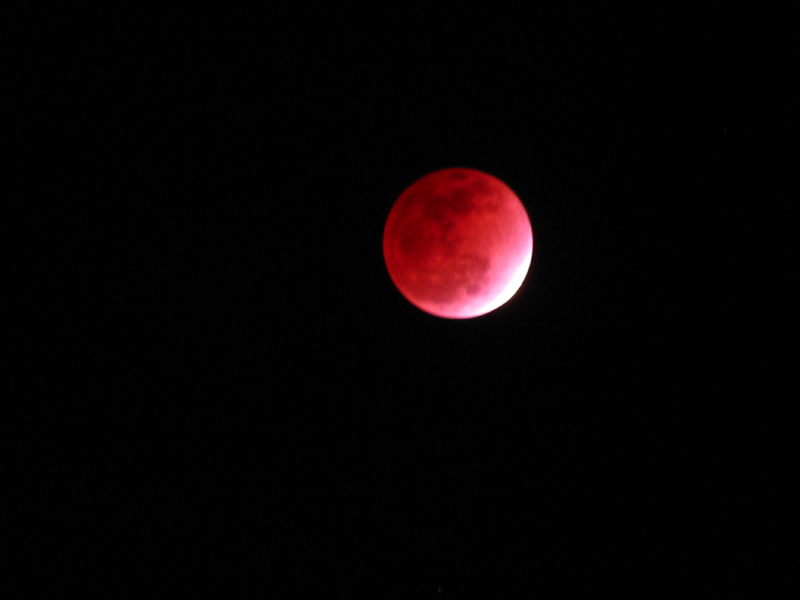 IMG_9054.JPG