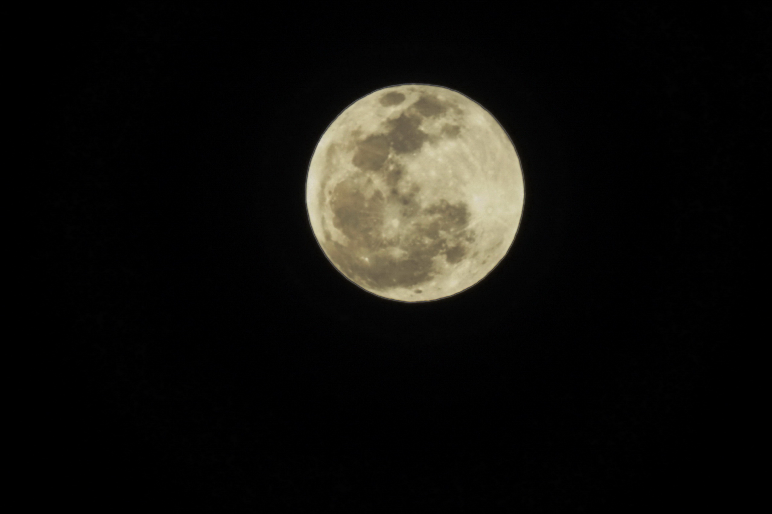 DSC03363.jpg
