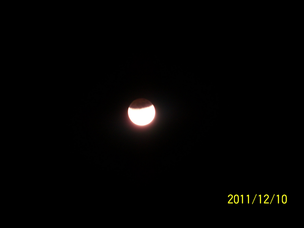 100_2636.JPG