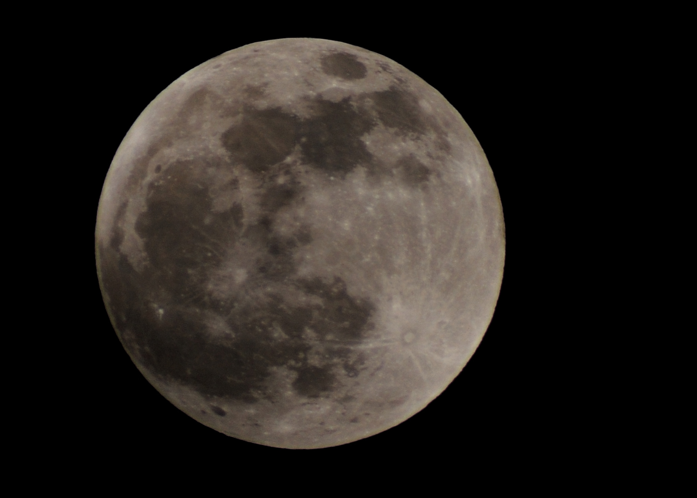 DSC_9451.jpg