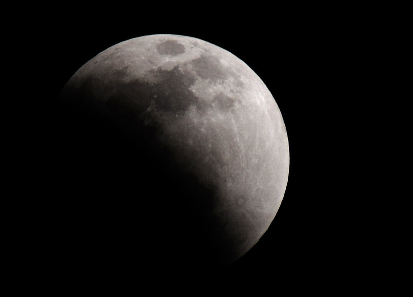 DSC_9484.jpg