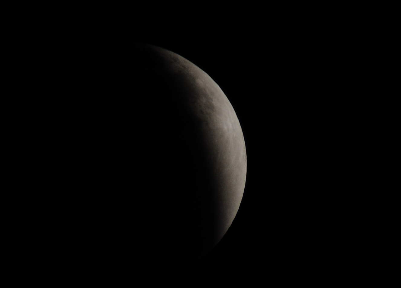DSC_9512.jpg